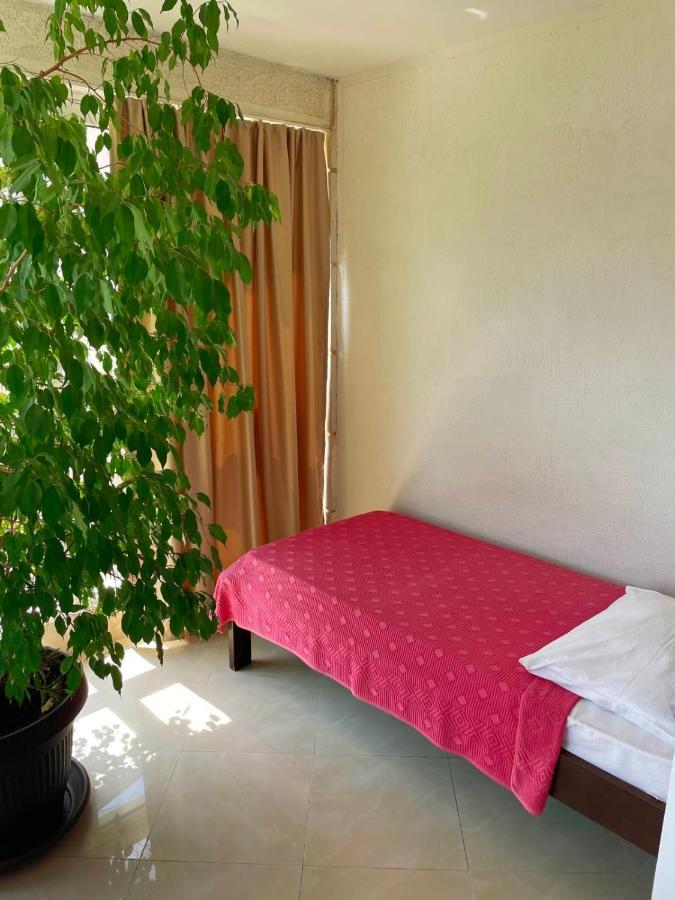 Apartmani Mina Herceg Novi Exterior foto